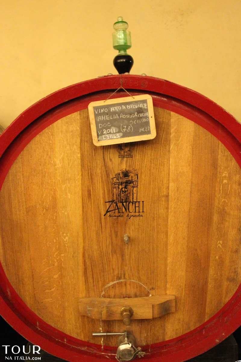 Cantina Zanchi - Amelia - Umbria - Itália