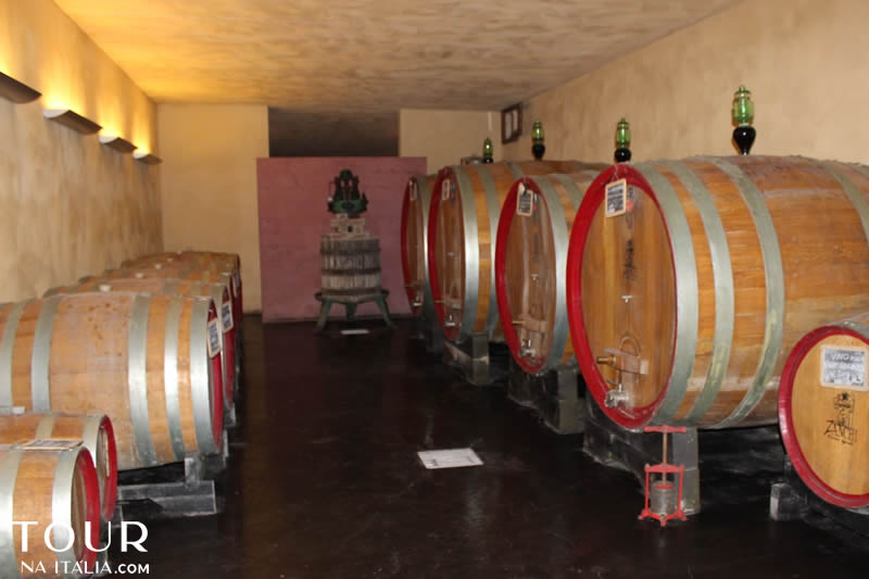 Cantina Zanchi - Amelia - Umbria - Itália