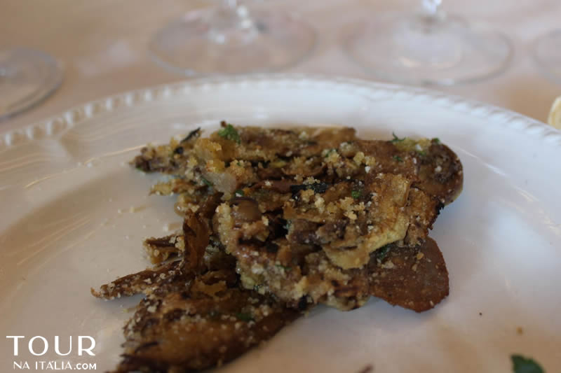 Vinícola Narni - Umbria - Itália