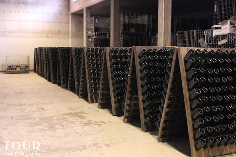 Vinícola Narni - Umbria - Itália