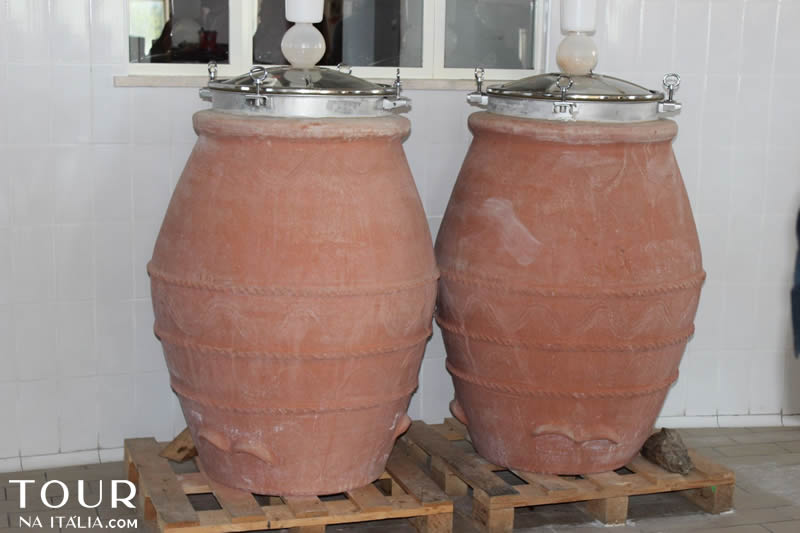 Vinícola Narni - Umbria - Itália