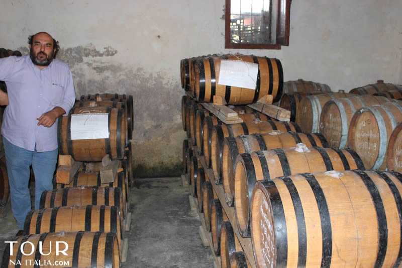 Vinícola Narni - Umbria - Itália