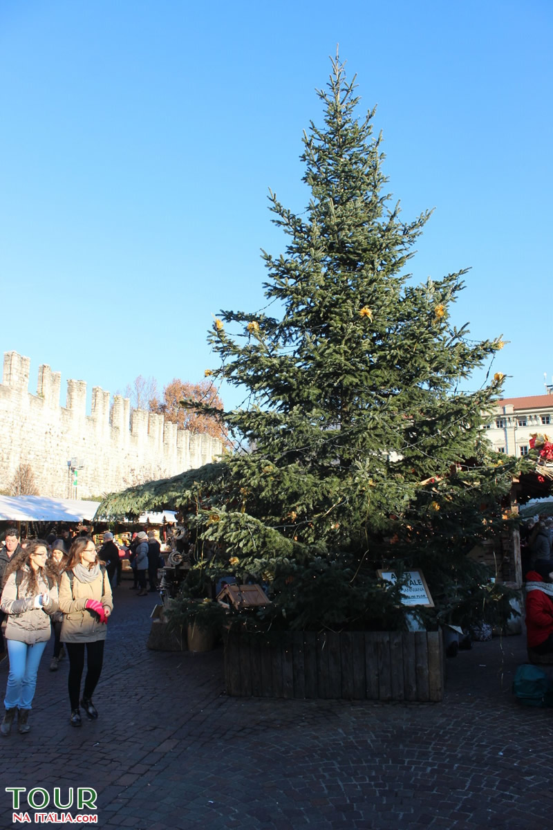 Trento - Trentino - Itália