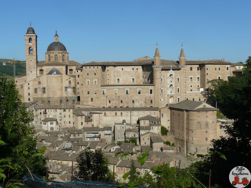 Urbino