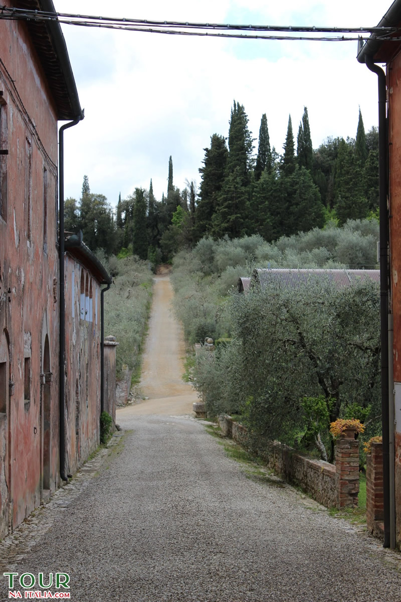 Roteiro Urbino Toscana Marche
