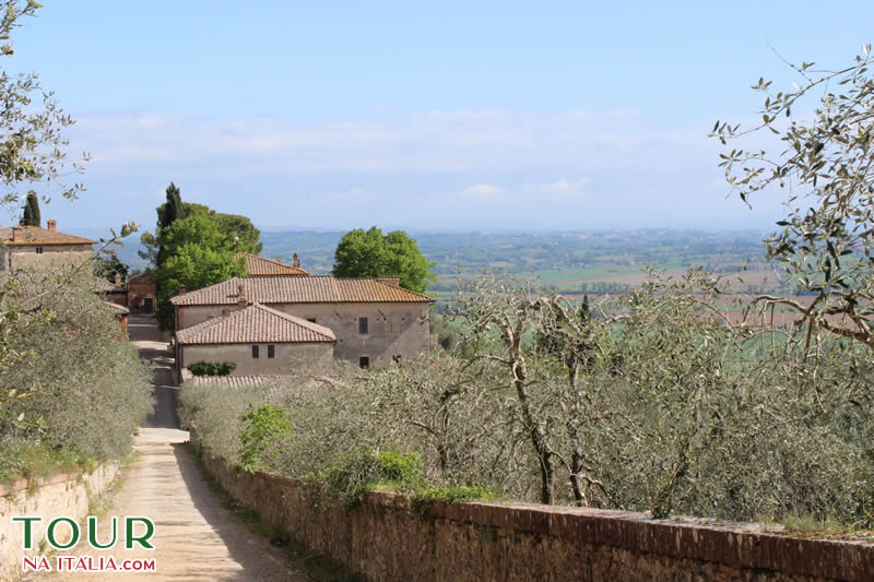 Roteiro Urbino Toscana Marche