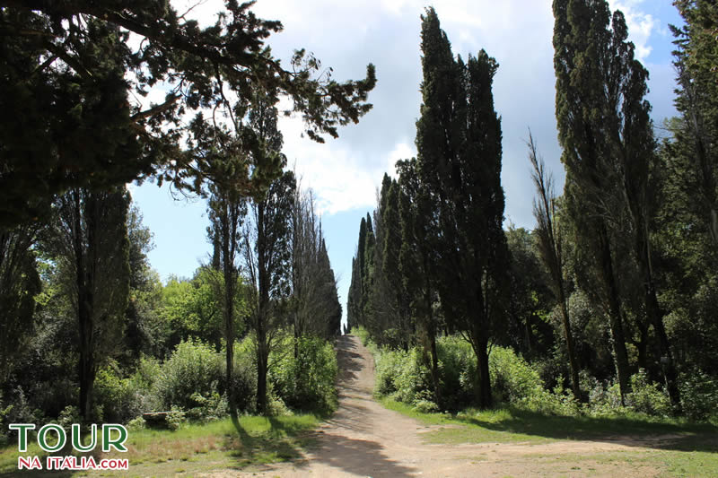 Roteiro Urbino Toscana Marche