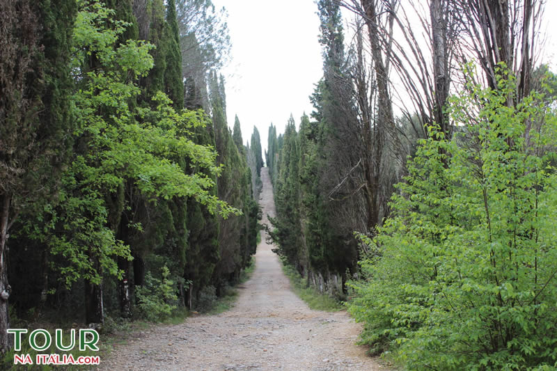 Roteiro Urbino Toscana Marche