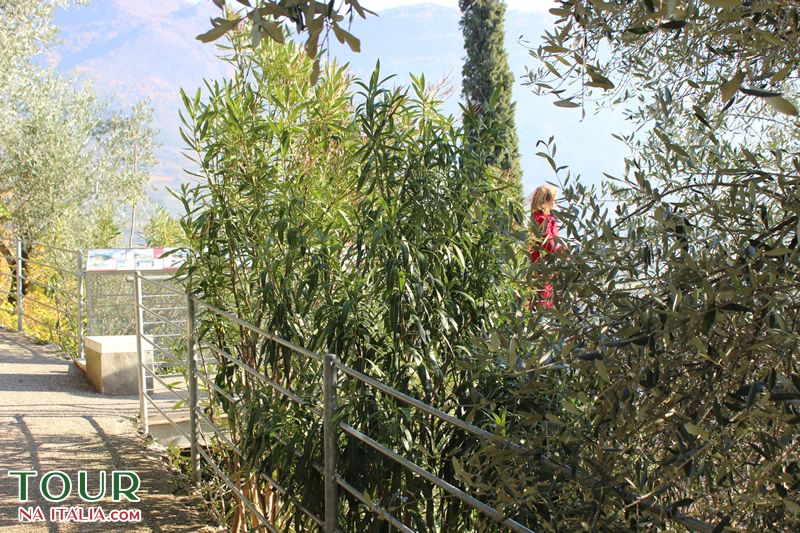 Castello di Arco - Trentino - Itália