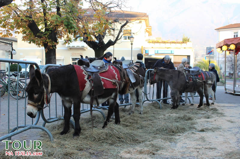 Mercados de Natal Arco - Trentino - Itália