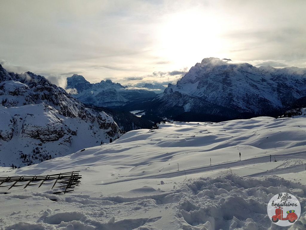 Cortina D