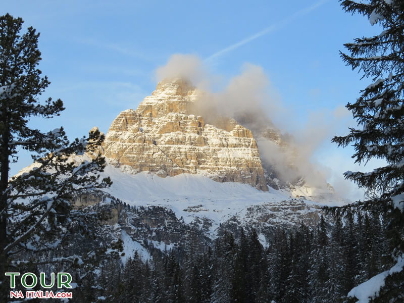 Cortina D