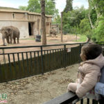 Bioparco - Galleria Borghese - Lazio - Tivoli