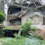 Bioparco - Galleria Borghese - Lazio - Tivoli