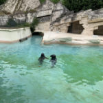 Bioparco - Galleria Borghese - Lazio - Tivoli