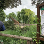 Bioparco - Galleria Borghese - Lazio - Tivoli
