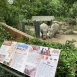 Bioparco - Galleria Borghese - Lazio - Tivoli
