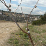 Matera - Basilicata - Itália
