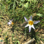 Matera - Basilicata - Itália