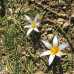 Matera - Basilicata - Itália