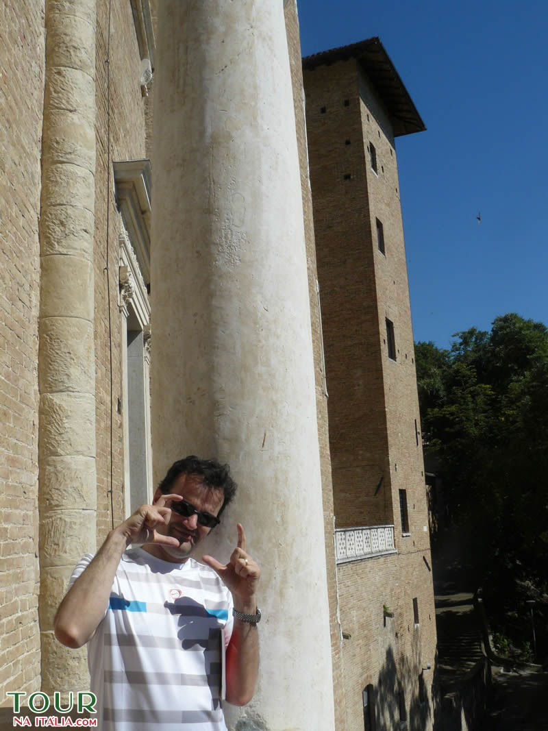 Urbino