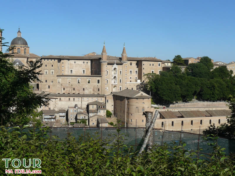 Urbino