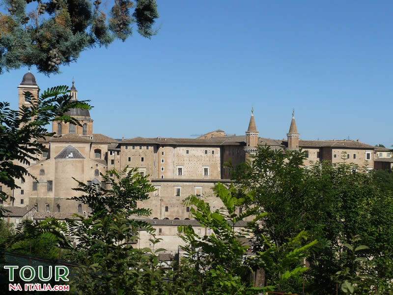 Urbino