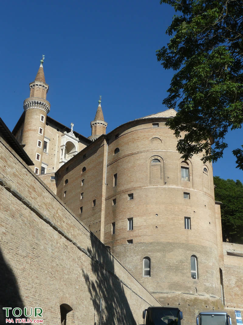 Urbino
