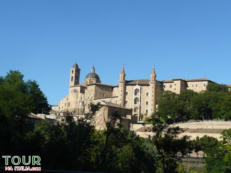 Urbino