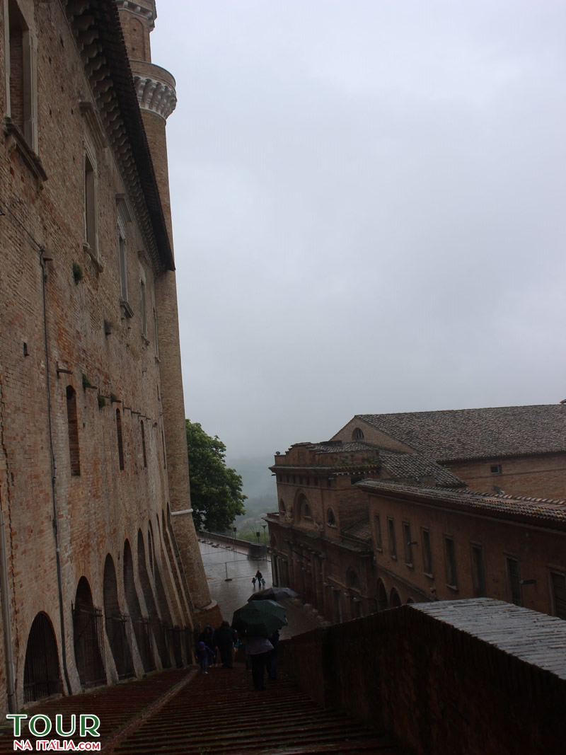 Urbino