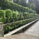 Villa D`este - Lazio - Tivoli