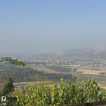 Barbaresco - Piemonte - Itália