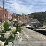 Ilha de Procida - Campânia - Itália