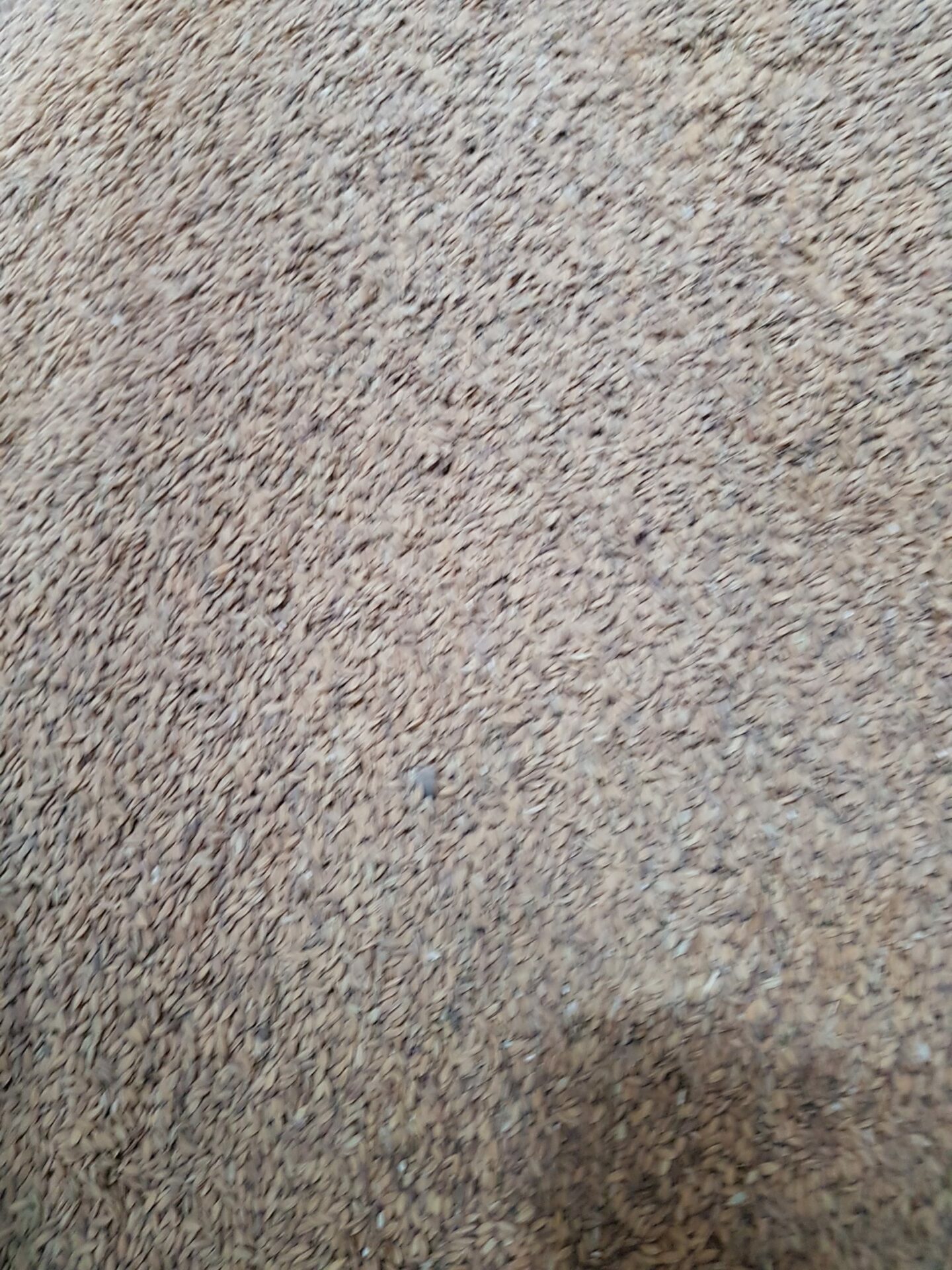 20190214_125427