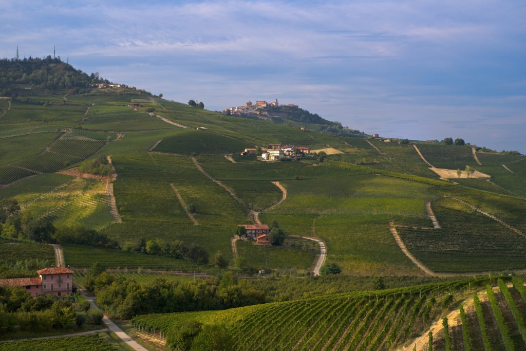 Tour de Vinhos Barolo e Barbaresco